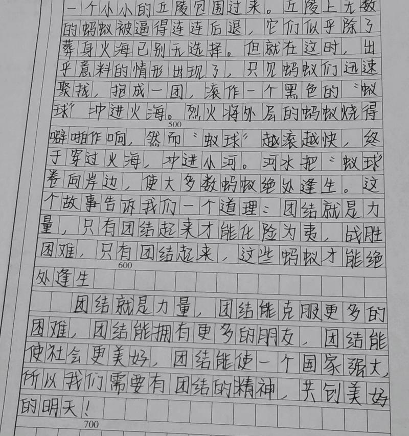 团结的力量（同心协力）