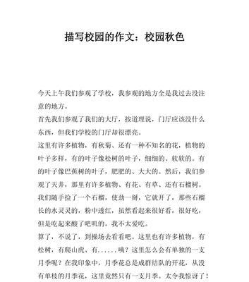 学校风景记——我的校园生活