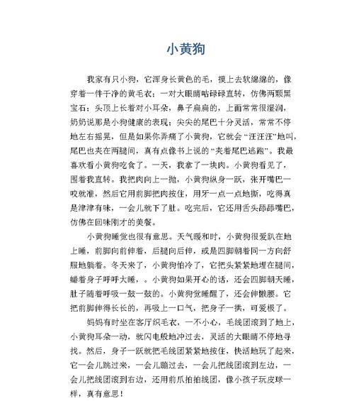 小狗的奇妙冒险（爱与友谊的故事）