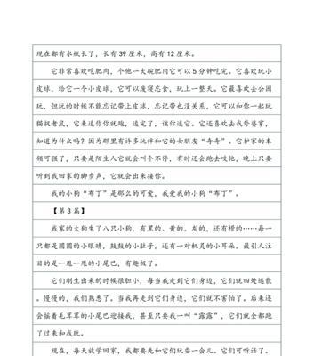 我家的小狗（与小狗相处的日子中的欢笑与感动）