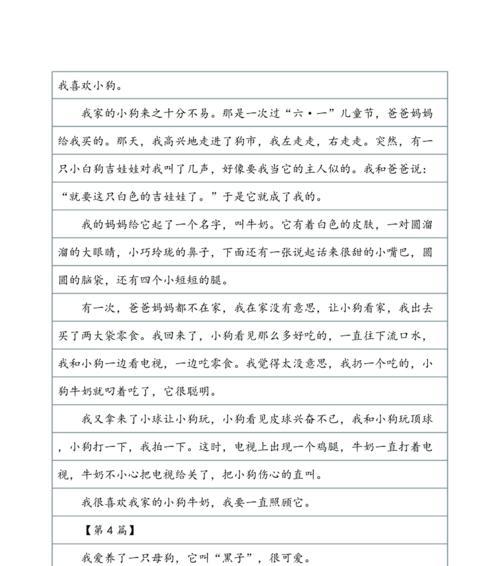 我家的小狗（与小狗相处的日子中的欢笑与感动）
