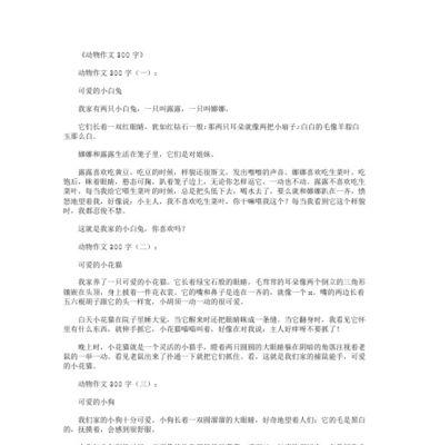 我的小白兔（它的成长历程）