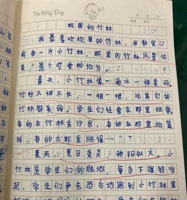 校园之美：一段奇妙的旅程