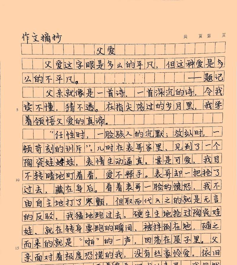 《父爱的力量》