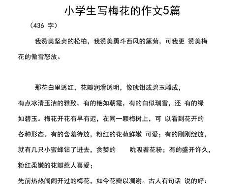 梅花：美丽的冬日之花