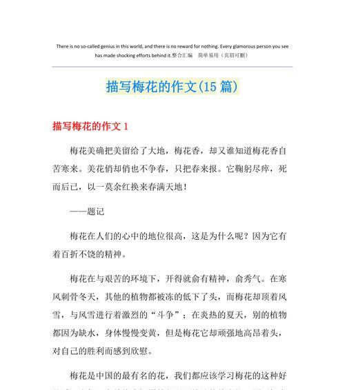 梅花的馨香（初三的小故事）