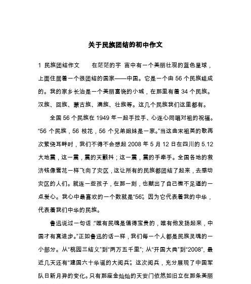 团结就是力量（一群少年的冒险旅程）
