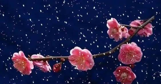 大雪祝福语：用唯美短句为友圈点赞