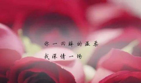 一份温馨的爱意（一份温馨的爱意）
