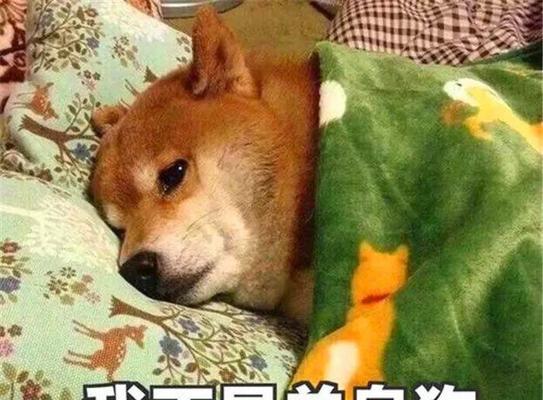 单身狗的双11，寂寞难耐的心情（一个人的独舞）