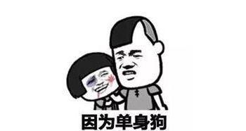 单身狗的双11，寂寞难耐的心情（一个人的独舞）
