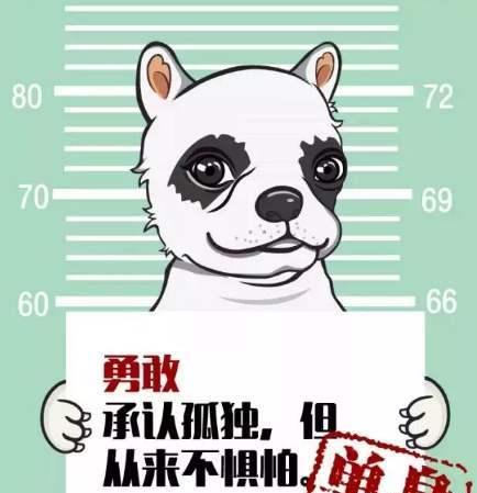 掌握单身自由，享受生命美好（掌握单身自由）