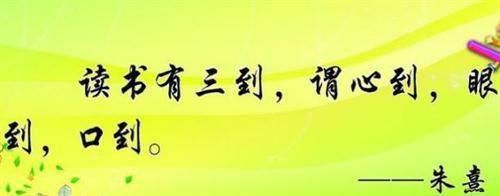 以观察的名言名句（发现世界的奥妙）