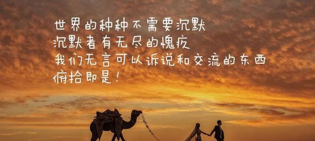 爱情之路——追寻那份纯净的感动