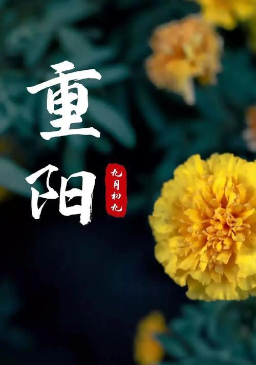 重阳逢佳节，祝福在朋友圈里（用心祝福温暖你我）