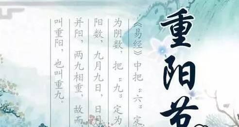 重阳节的优美句子