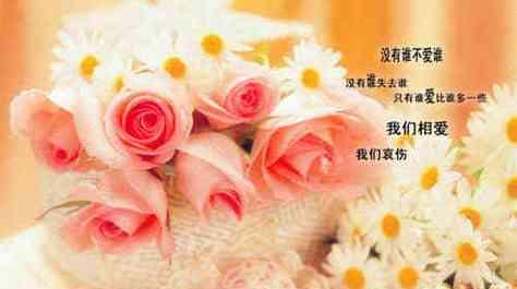 《真爱之光》——用心珍藏那份温暖