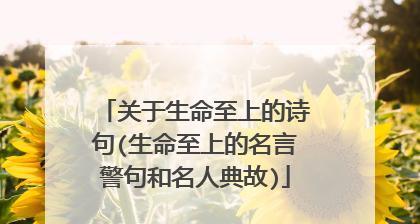 珍惜生命，珍爱每一刻（重拾生命的意义与价值）
