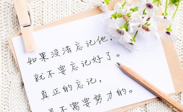 珍惜努力，成就人生（用好句子）