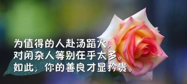 思辨人生，启迪心灵（思辨人生）