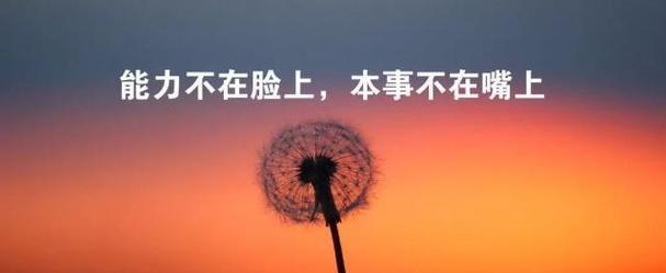 信念与毅力，成就自我（信念与毅力）