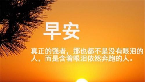 早上好高情商，让生活更美好（唤醒每一个清晨的幸福感）