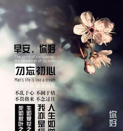 清晨的美丽语言（用唯美的句子迎接每一个早晨）