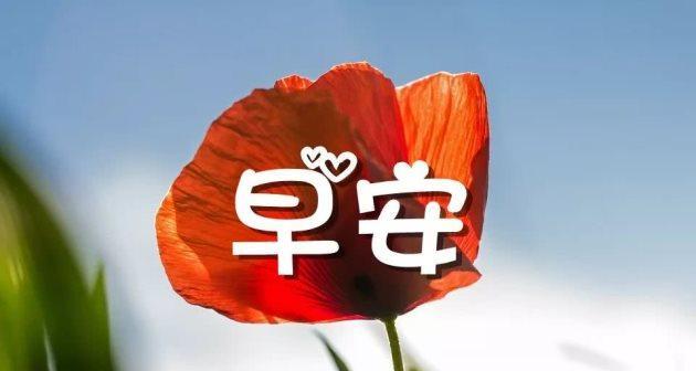 在这个美好的早晨，让我们一起迎接阳光（在这个美好的早晨）