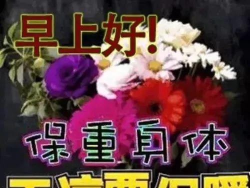 冬季美好的早晨（25句暖心问候）