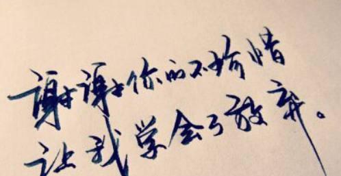 遇见，是一场美丽的邂逅（在时光里悄然相遇）