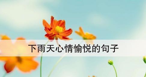 雨中的美丽与悲伤（雨中的美丽与悲伤）