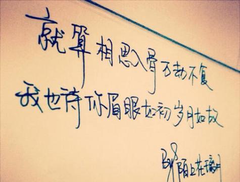 那些美丽动人的警句与名言（那些美丽动人的警句与名言）