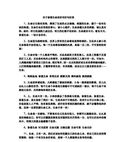 友谊岁月——共同走过的美好时光
