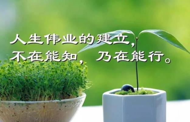 友情美好的句子——留下心情的美好（那些温暖的话语、那些感人的瞬间）