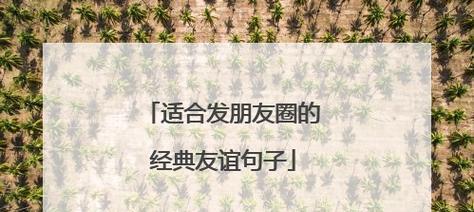 友情之光——珍视友谊，延续情谊
