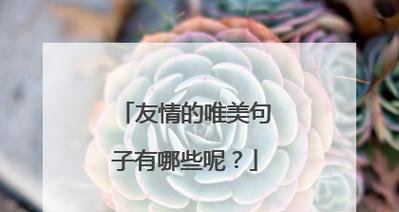 友情之美——珍视友情，莫忘初心