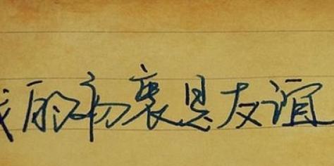 友情之花——关于友情的经典句子