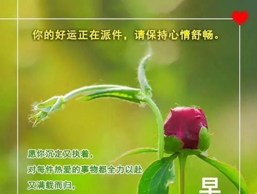 九月，新的开始（拥抱秋天）