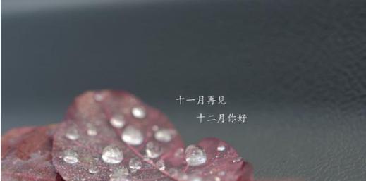 迎接12月，追逐梦想的季节（清新唯美的时光荏苒）