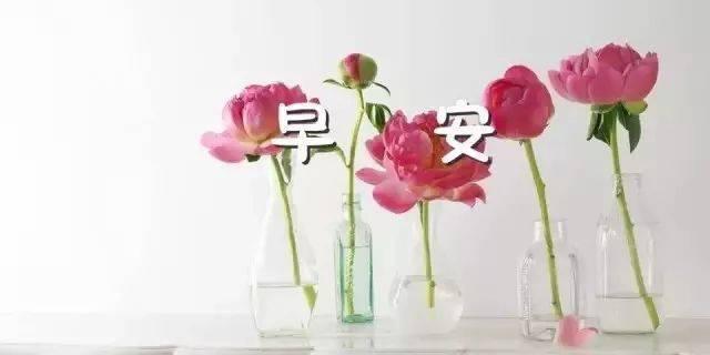 唤醒心灵的美好，迎接新的一天（唤醒心灵的美好）