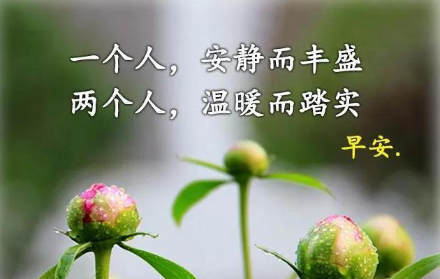 唤醒心灵的美好，迎接新的一天（唤醒心灵的美好）