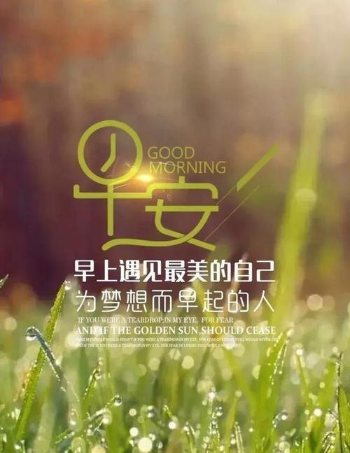 《清晨芳香：一句话精致早安》