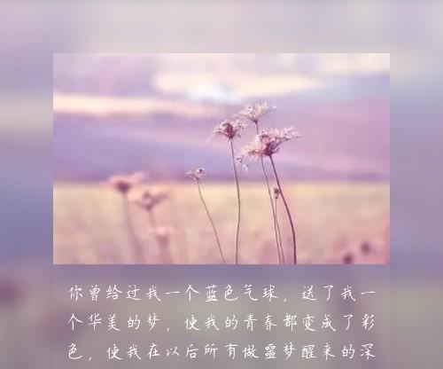 夜的诗意（一个关于夜的唯美故事）