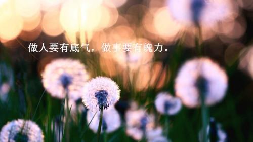 阳光温暖心间（唯美短句颂扬）