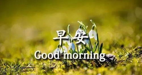 阳光温暖心间（唯美短句颂扬）