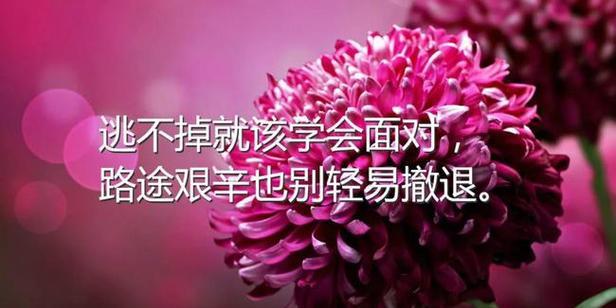 阳光温暖心间（唯美短句颂扬）
