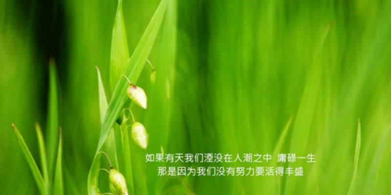 眼睛的魅力（探寻眼睛的无穷魅力）