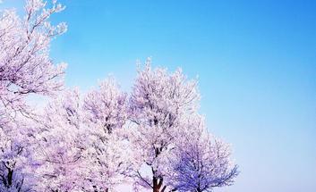《冬日里的雪景》