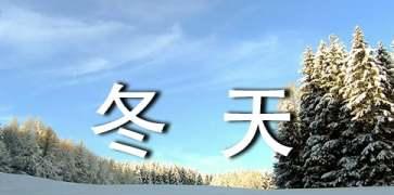 冬日之美、情怀满溢（冬日之美）