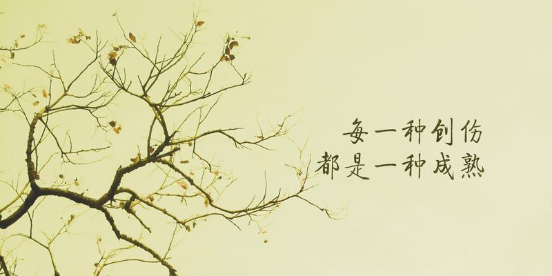 学习正能量，让人生更美好（积极向上）